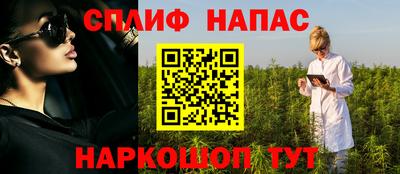 дживик Бийск