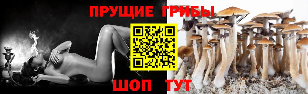 Псилоцибиновые грибы ЛСД Белово